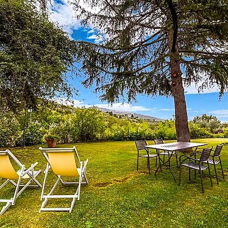 In Tuscany With Pool Olive Trees