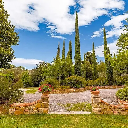 Hotel In Tuscany With Pool Olive Trees Cortona