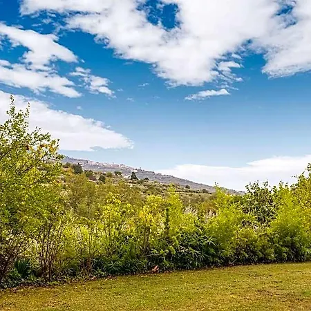 In Tuscany With Pool Olive Trees Hotel 2*
